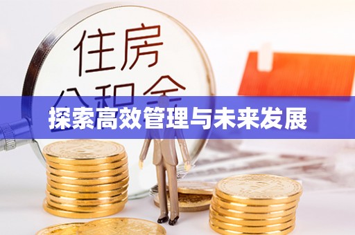 雨湖探索高效管理与未来发展