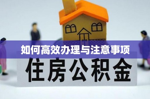 雨湖如何高效办理与注意事项