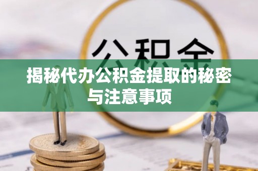 雨湖揭秘代办公积金提取的秘密与注意事项