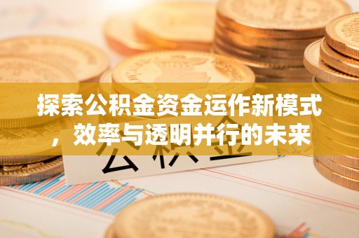 雨湖探索公积金资金运作新模式，效率与透明并行的未来
