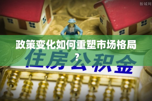 雨湖政策变化如何重塑市场格局？