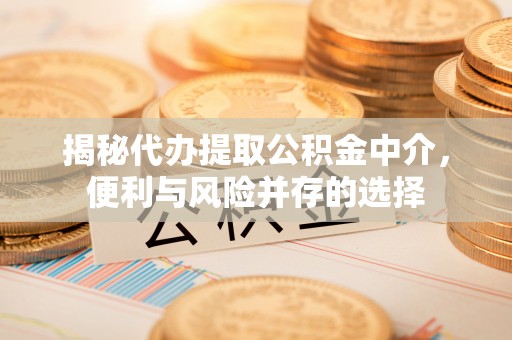 雨湖揭秘代办提取公积金中介，便利与风险并存的选择