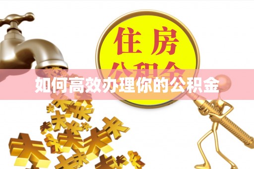 雨湖如何高效办理你的公积金