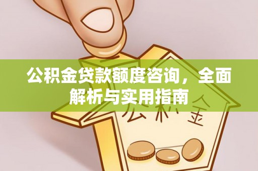 雨湖公积金贷款额度咨询，全面解析与实用指南