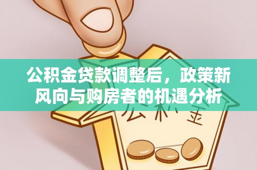 雨湖公积金贷款调整后，政策新风向与购房者的机遇分析