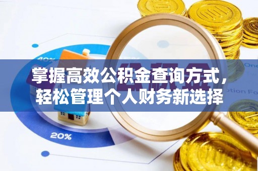 雨湖掌握高效公积金查询方式，轻松管理个人财务新选择