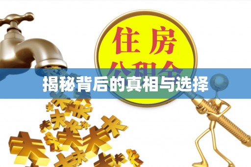 雨湖揭秘背后的真相与选择