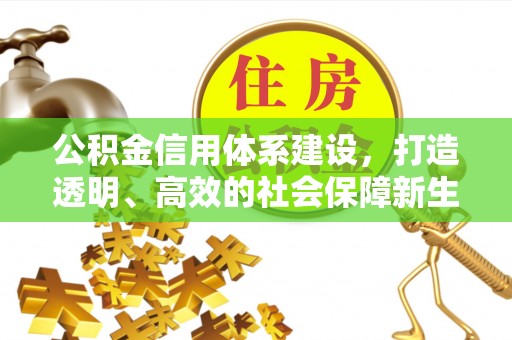 雨湖公积金信用体系建设，打造透明、高效的社会保障新生态