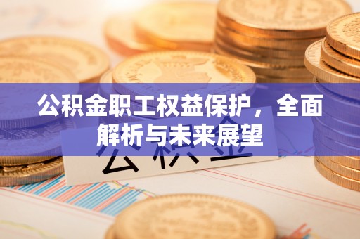 雨湖公积金职工权益保护，全面解析与未来展望