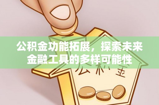 雨湖公积金功能拓展，探索未来金融工具的多样可能性