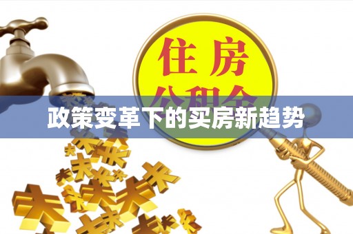 雨湖政策变革下的买房新趋势