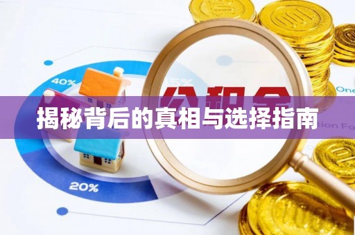 雨湖揭秘背后的真相与选择指南