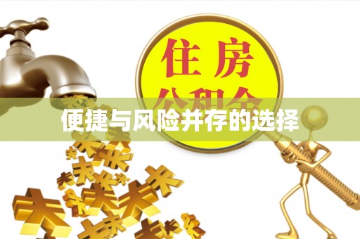 雨湖便捷与风险并存的选择
