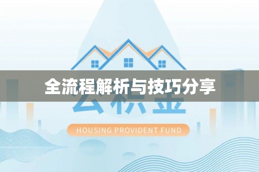 雨湖全流程解析与技巧分享